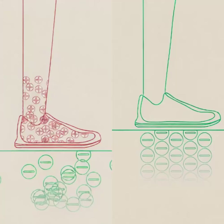 [Rootsie - Beige / Green]